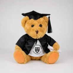 Graduation Teddy Bears with Cap and Gown